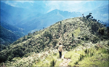 حفظ محیط زیست در آفریقا