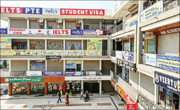 بازگشت مغزها