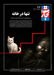 تنها در خانه