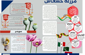 مزرعه خشخاش