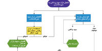 ابزار منطقی‌سازی سود