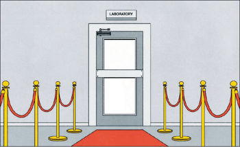 زمانی برای فرش قرمز