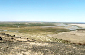 مرگ «هامون»