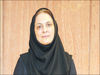 زمین تراز