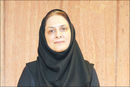 زمین تراز